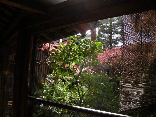 b0138798_23122828.jpg