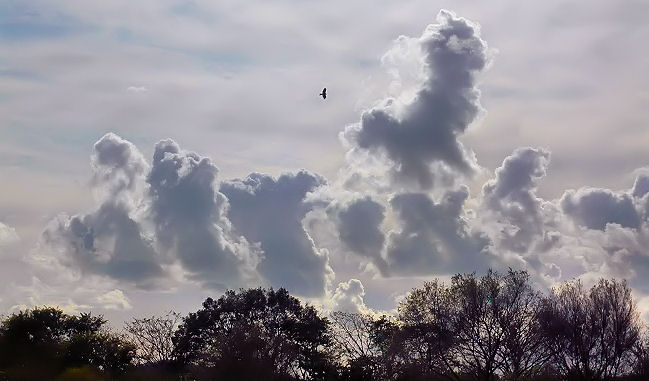 c0165101_17102555.jpg