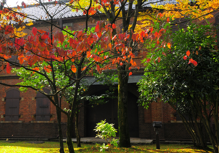 b0158403_1012247.jpg