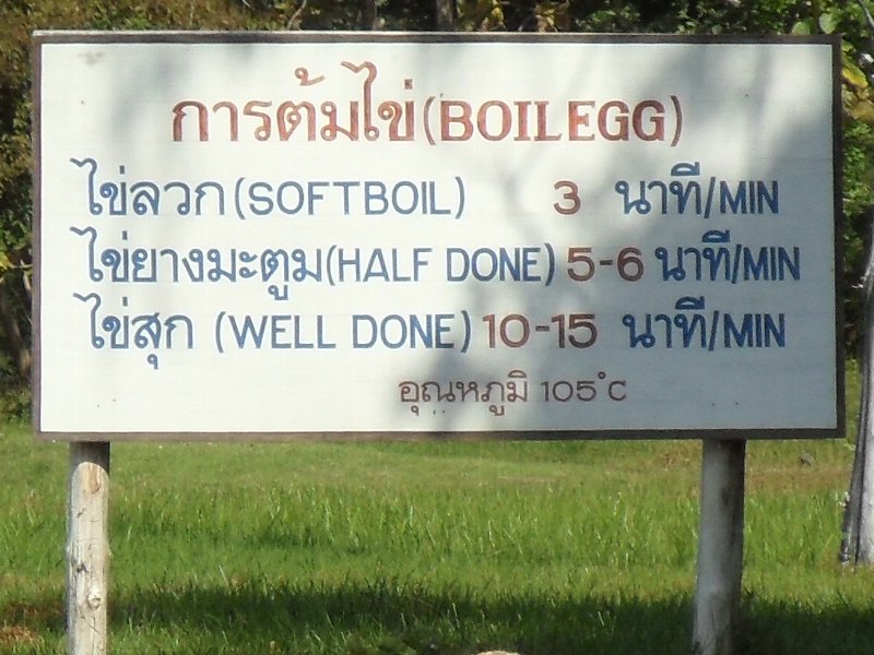 c0102404_062829.jpg