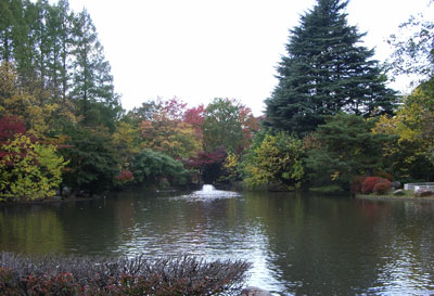 秋のスケッチ会 航空公園 _b0129807_179887.jpg