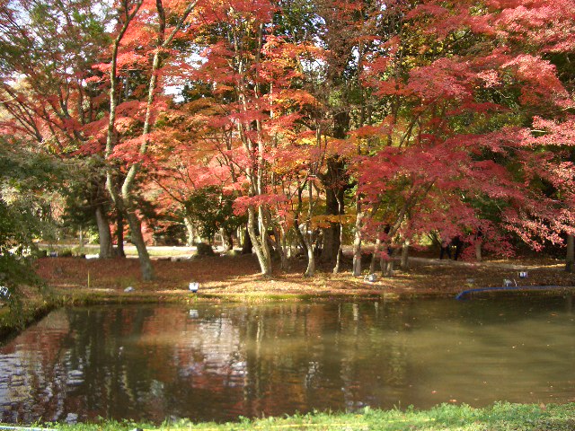 c0152507_559647.jpg