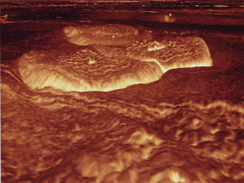 e0171614_11275866.gif