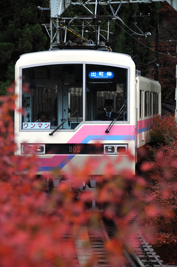 b0109815_0213253.jpg