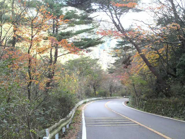 自転車で六甲山（東コース編）_c0225420_21492337.jpg