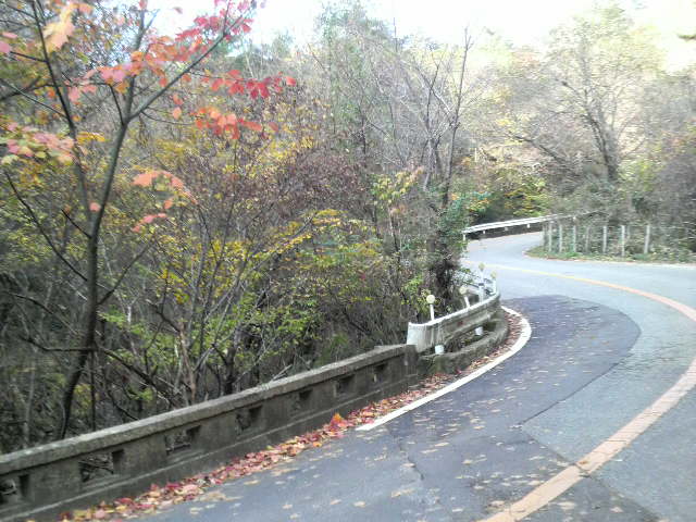 c0225420_21494869.jpg