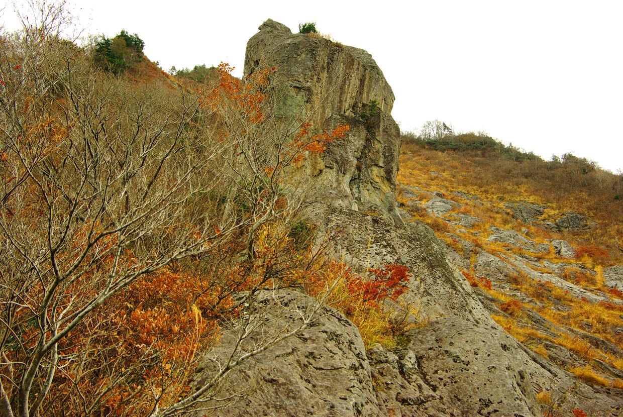 b0062024_8294976.jpg