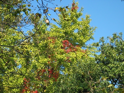 f0203324_13101151.jpg