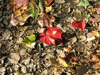 f0203324_13124588.jpg