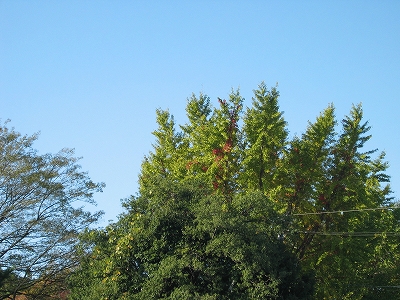 f0203324_135611.jpg