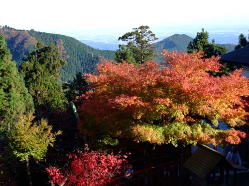 f0147025_0134218.jpg