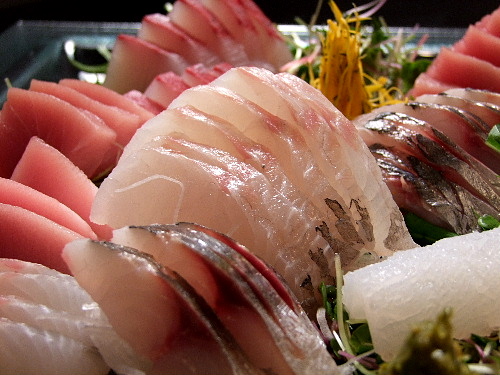 「新宿 九州料理 ちかっぱの九州料理」_a0000029_162352.jpg