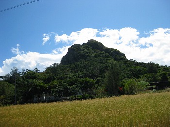 a0055835_18341682.jpg