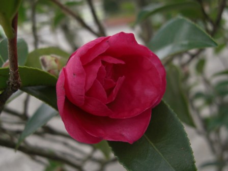 c0219737_9215940.jpg