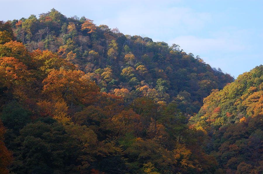 廃線跡散策・武田尾温泉_d0148541_21271518.jpg