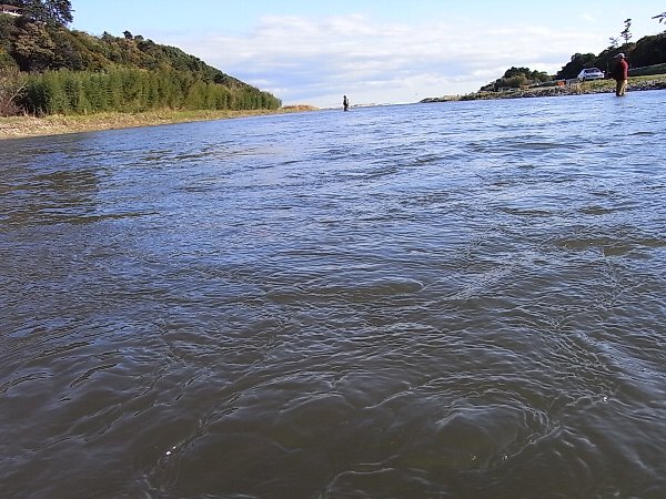 b0165444_1534868.jpg