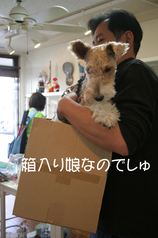 c0136547_23133052.jpg