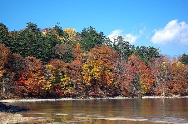 c0060452_2237388.jpg