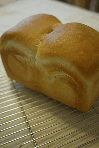 c0215653_10361846.gif