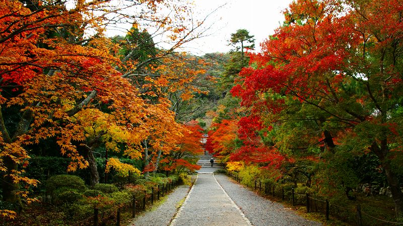 京のもみじ路２００９ （嵯峨野 二尊院の紅葉）（2009年11月16日)_c0119555_22322823.jpg