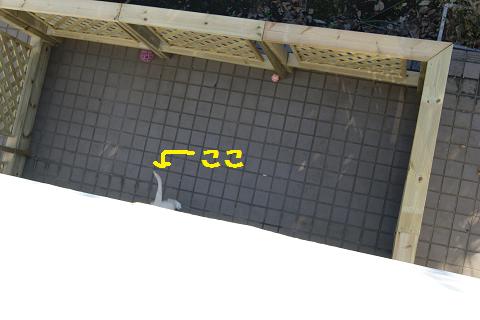 c0214455_12511752.jpg