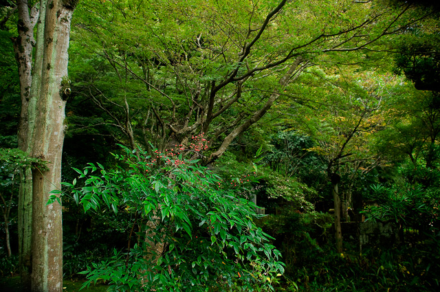 f0176458_19462440.jpg
