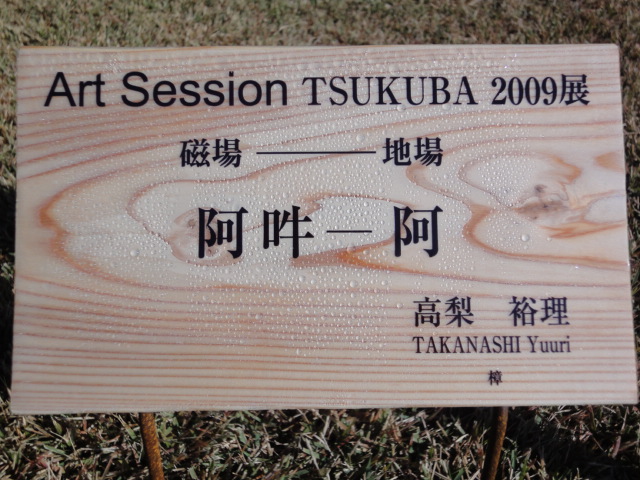 Art Session TSUKUBA 2009展　その２_b0124462_14175193.jpg