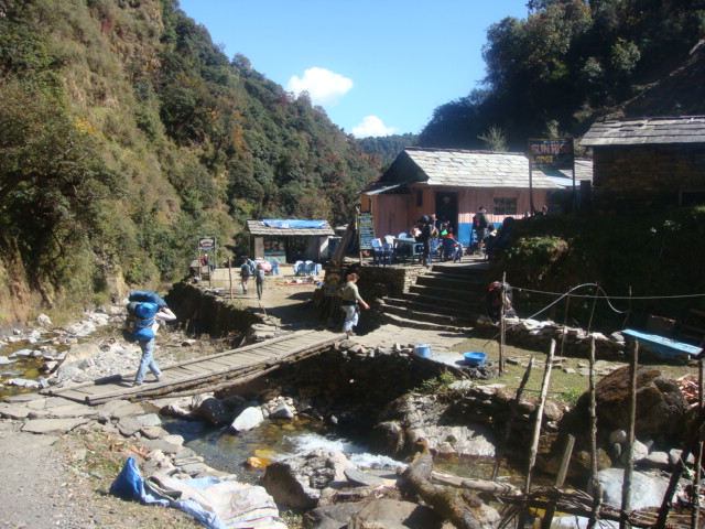 d0032262_155145.jpg
