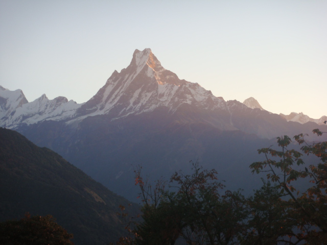 d0032262_157377.jpg