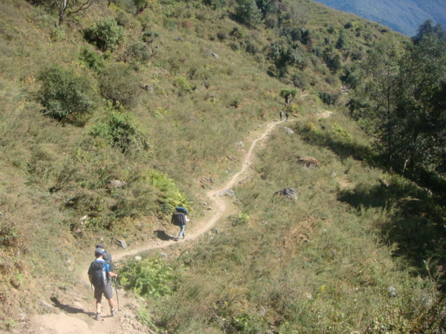d0032262_1595472.jpg