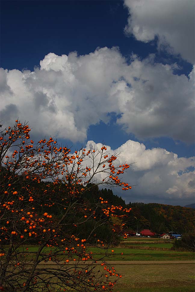 蒜山／秋の里山_c0221473_913574.jpg