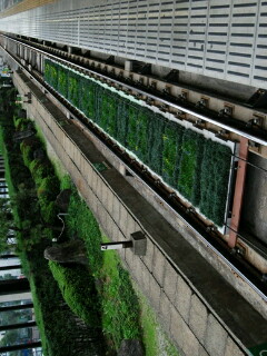 e0013178_13511827.jpg