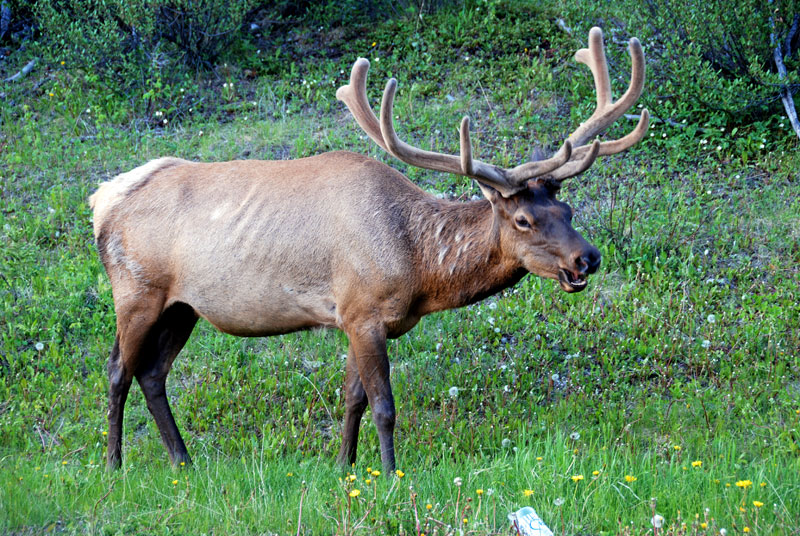 b0110880_151355.jpg
