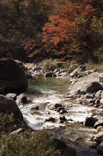 信州・大桑村の紅葉　阿寺渓谷その２_e0165983_11302392.jpg