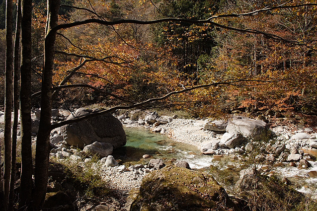 信州・大桑村の紅葉　阿寺渓谷その２_e0165983_11314683.jpg