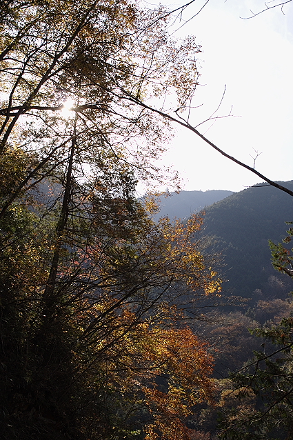 信州・大桑村の紅葉　阿寺渓谷その２_e0165983_11353471.jpg