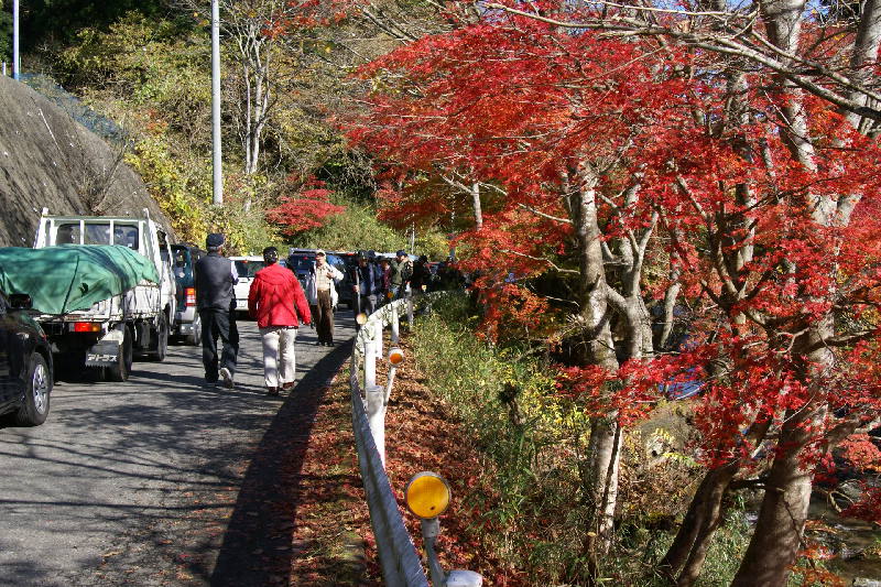 花園渓谷紅葉真っ盛り 北茨城市 新れいな日記 花園渓谷紅葉真っ盛り 北茨城市 新れいな日記