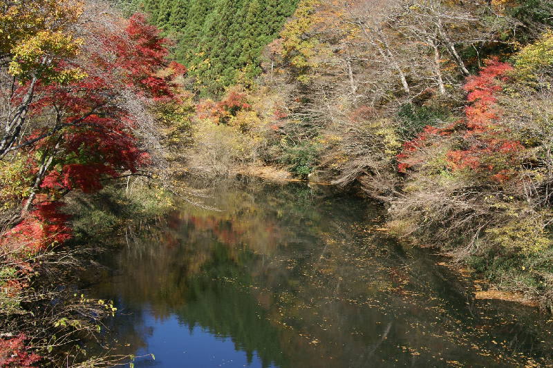 花園渓谷紅葉真っ盛り 北茨城市 新れいな日記 花園渓谷紅葉真っ盛り 北茨城市 新れいな日記