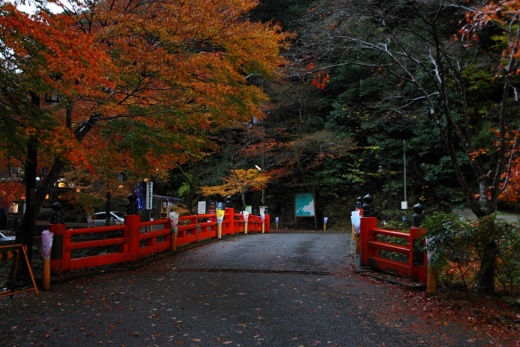 京都・洛北 秋色撮影 ~その1~_e0051888_2425862.jpg