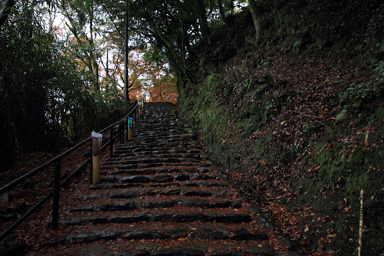 京都・洛北 秋色撮影 ~その1~_e0051888_2441344.jpg