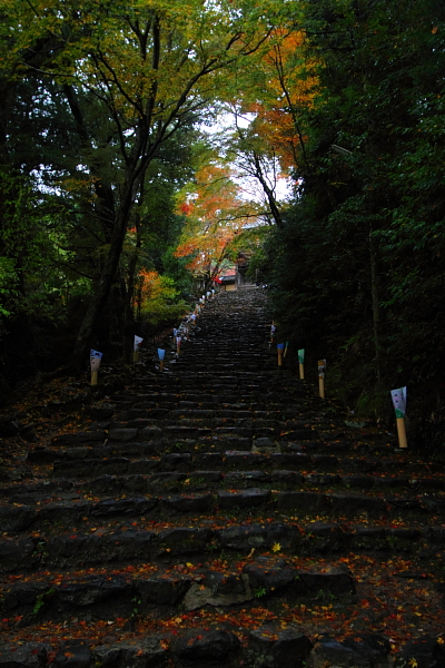 京都・洛北 秋色撮影 ~その1~_e0051888_2454220.jpg