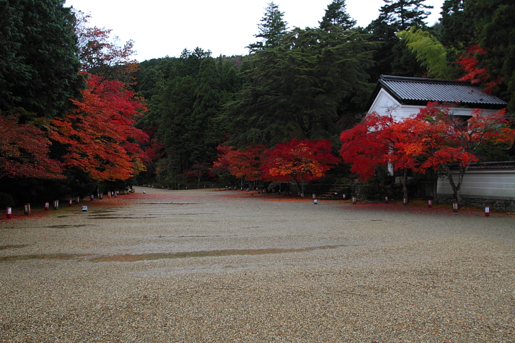 京都・洛北 秋色撮影 ~その1~_e0051888_2471597.jpg