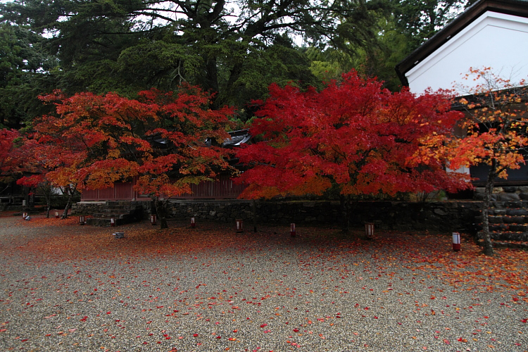 京都・洛北 秋色撮影 ~その1~_e0051888_2492996.jpg
