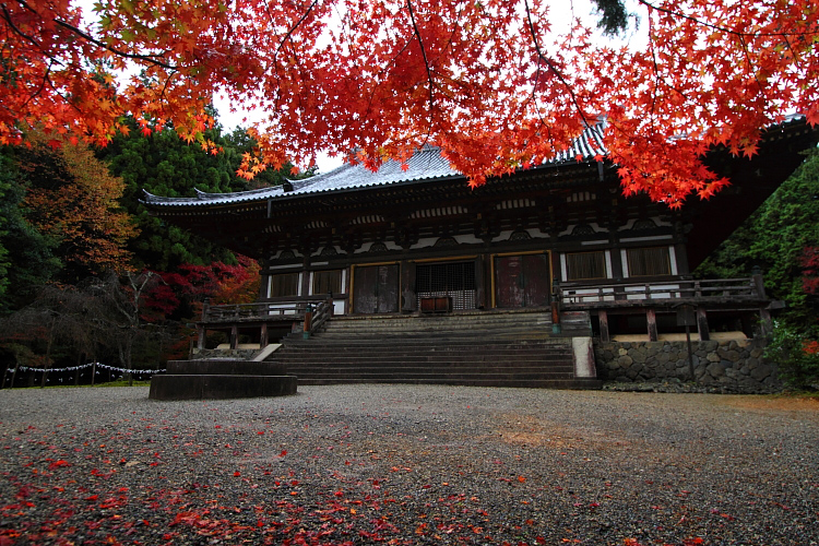 京都・洛北 秋色撮影 ~その1~_e0051888_2511194.jpg