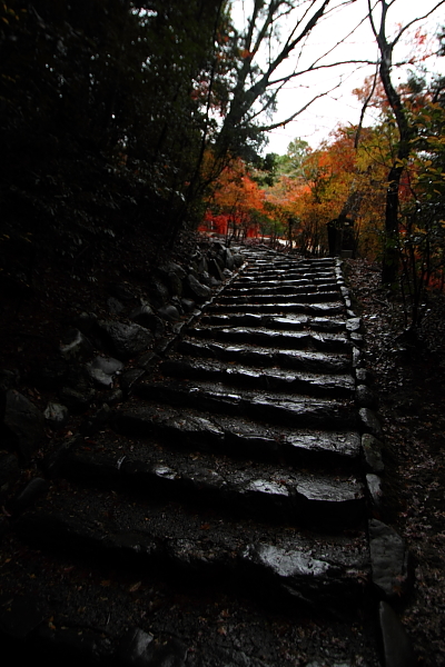 京都・洛北 秋色撮影 ~その1~_e0051888_2513835.jpg