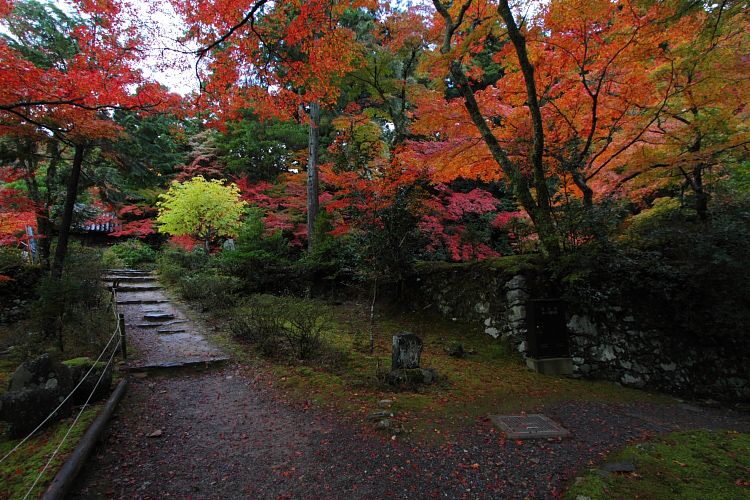 京都・洛北 秋色撮影 ~その1~_e0051888_2553613.jpg