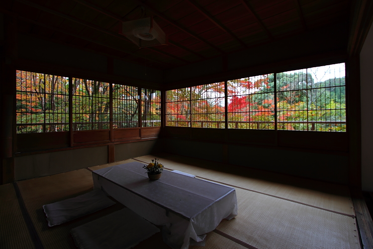 京都・洛北 秋色撮影 ~その1~_e0051888_257983.jpg