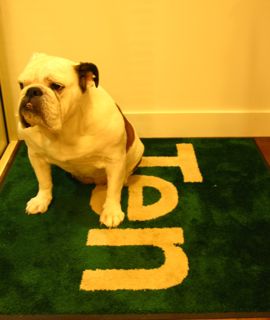 Ten Dog taiko はじめましてー_c0204289_115362.jpg