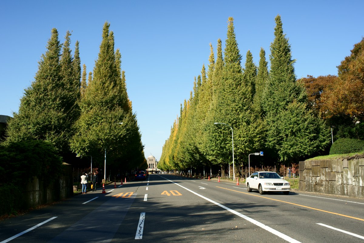 c0124795_9274316.jpg