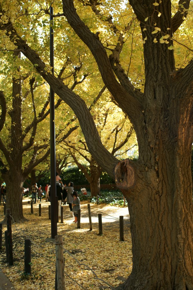 c0124795_9275934.jpg